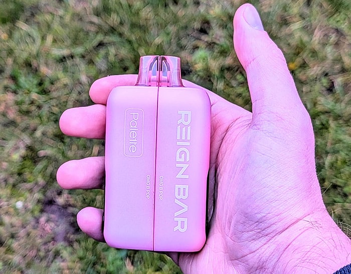 reign bar palette in hand