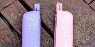 Reign Bar Palette Review- Mix Your Own Flavour Vape! split vape reign bar