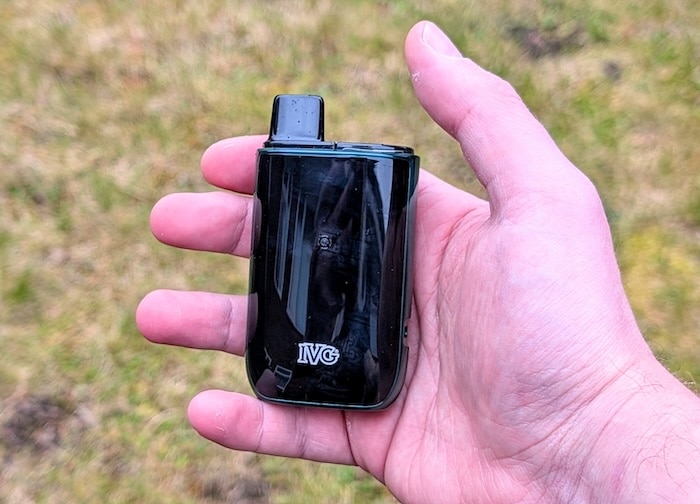 ivg pro 2 in hand